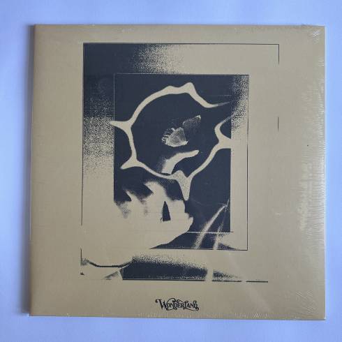 HYUKOH '24: HOW TO FIND TRUE LOVE' LP VINYL (TRANSPARENT RED COLOR LP)